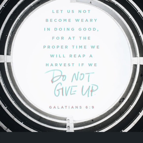 Arizona Jean Company Shoes - Sold. Sold sold sold.